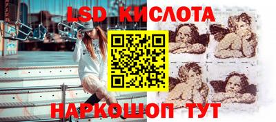 прущие грибы Конаково